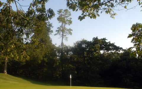 Bristol Hotel Golf