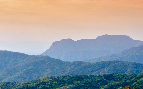mountain scape at dawn with trees