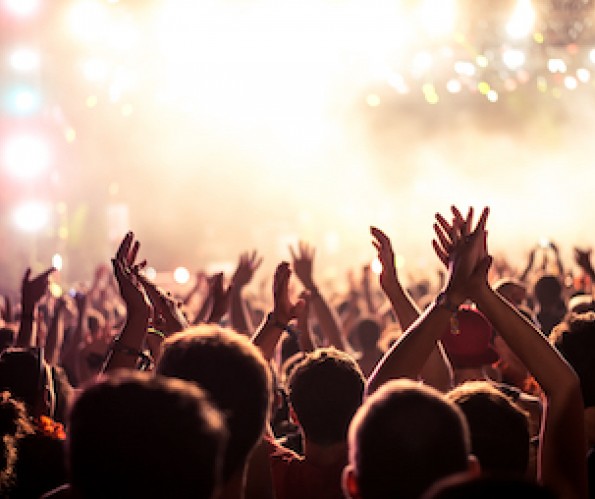 crowd at a concert