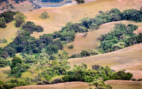 Things To Do In Atascadero California Blog The Carlton Hotel