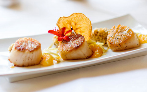scallop appetizer on a white plate