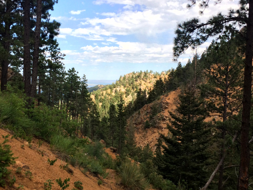 Get Back to Nature in North Cheyenne Canon Park
