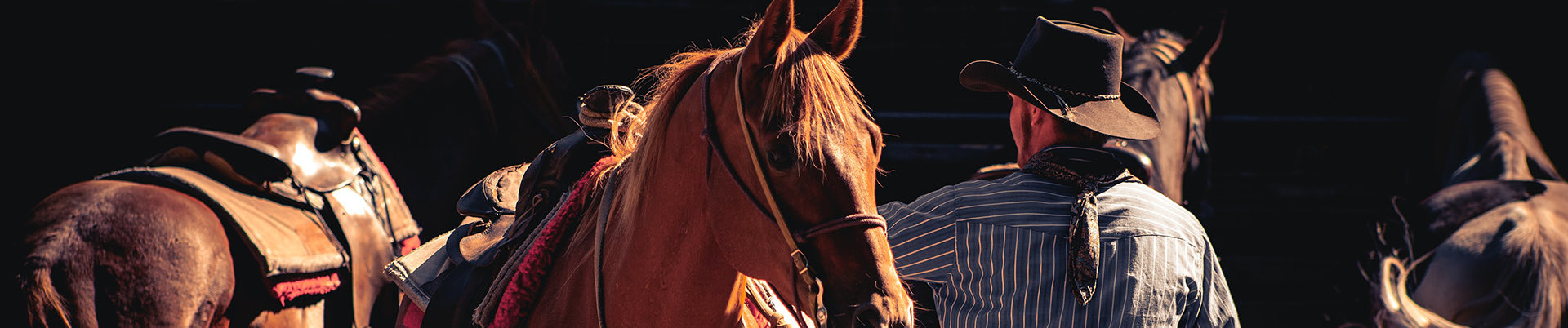 Close up of people walking around with horses next to them