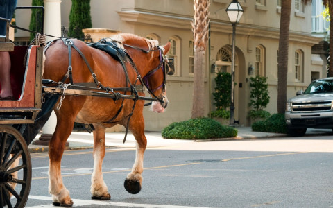 a horse walking down the street pulling a carriage