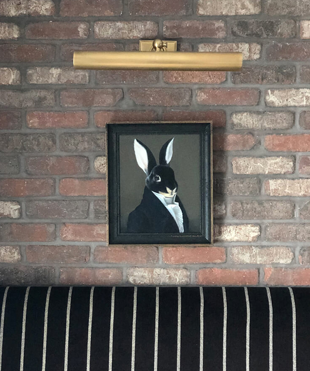 photo of black rabbit on brick wall