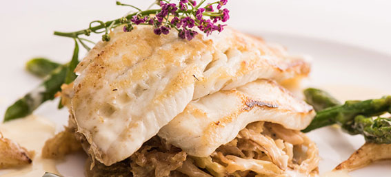 fish and asparagus on white plate