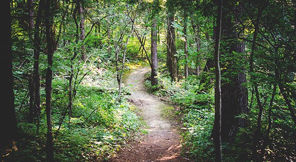 Chain of Lakes State Park pathway