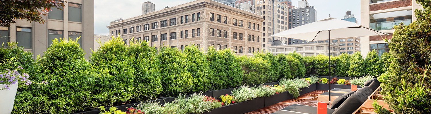dominick lp terrace header terrace
