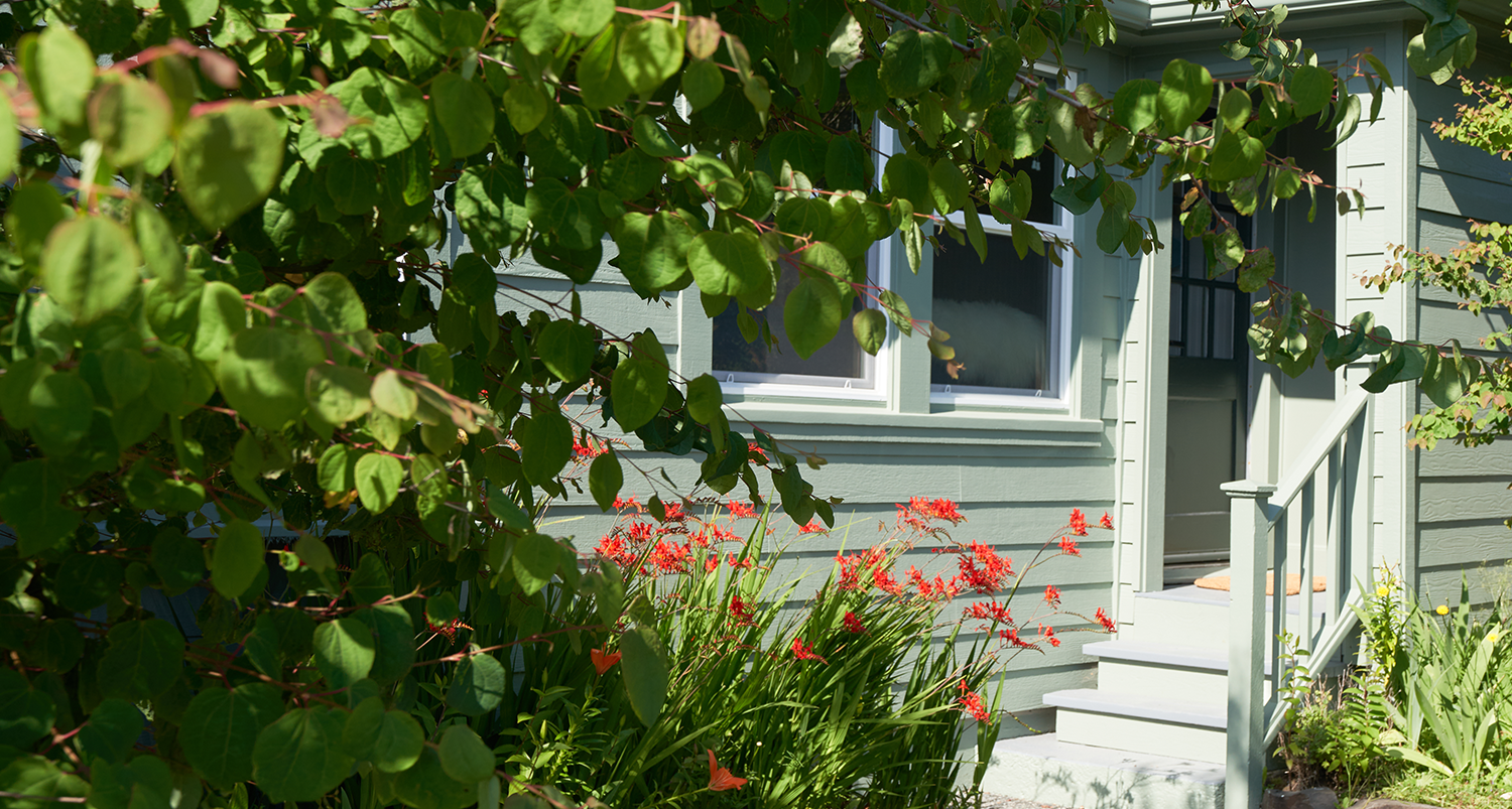 Red plants next to the entrance of the cottage.