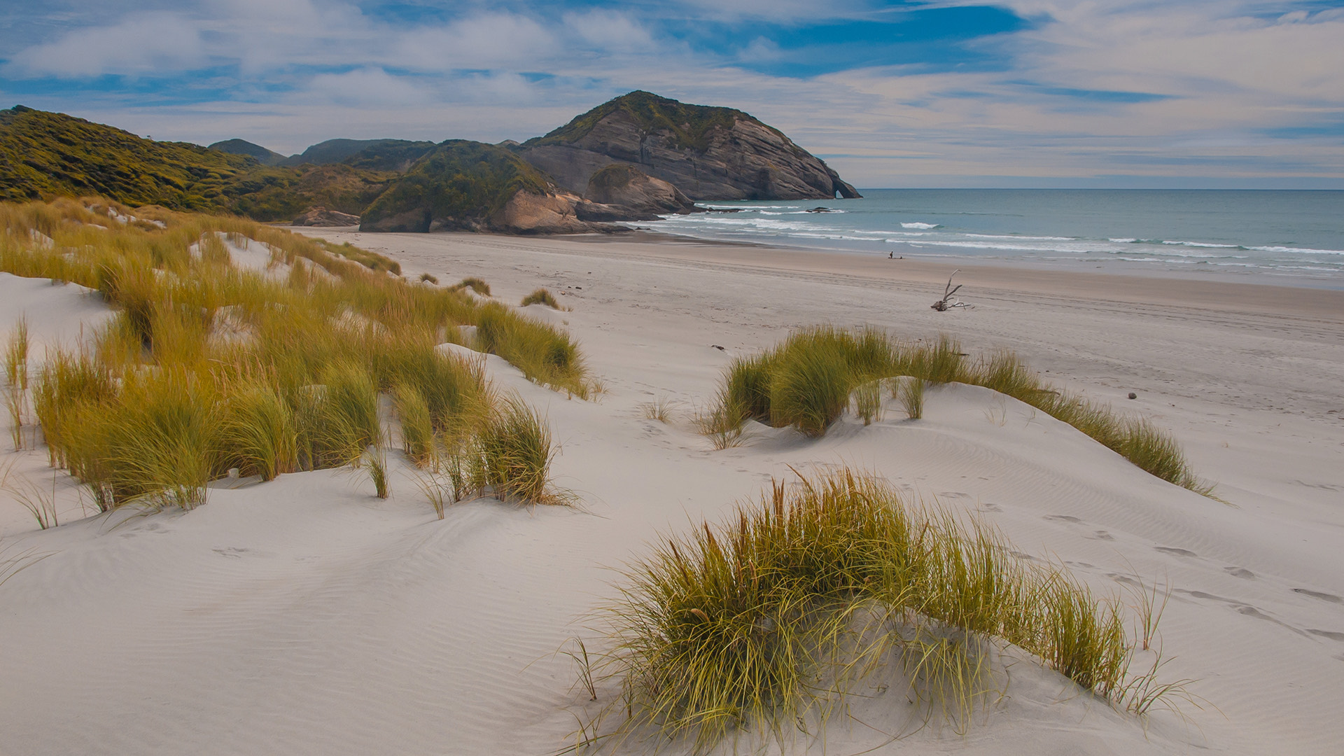 The Drifthaven At Gearhart | Oregon Hotels | Official Site