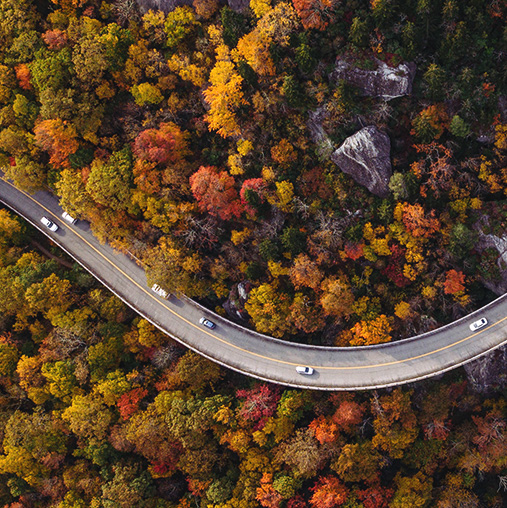aerial view of green, yellow, and red trees near a road