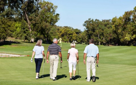 back View of a group of people on a golf field on a sunny day