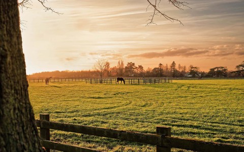 View of a large farm on a beautiful sunset with a horse eating grass 