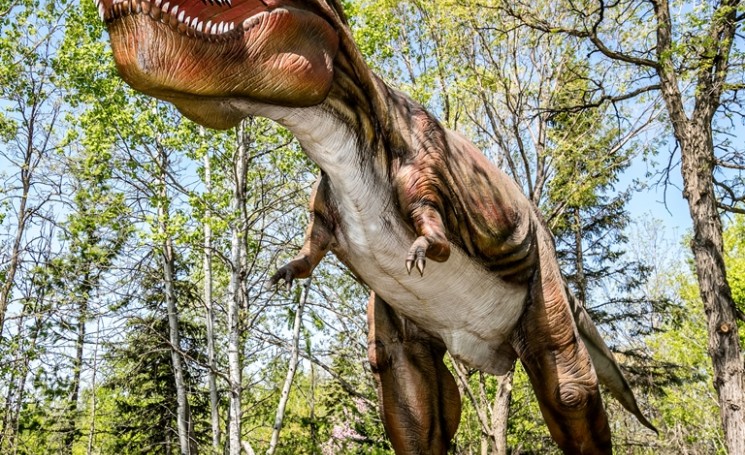 T-rex