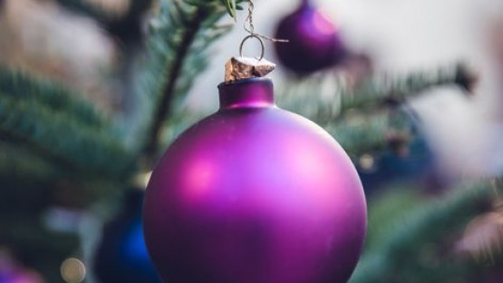 ornament on christmas tree
