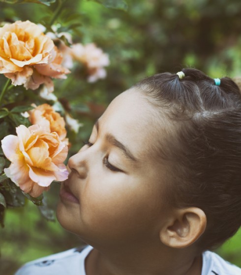 child smelling roses in garden