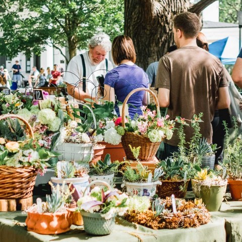 people walking at an outdoor farmers market