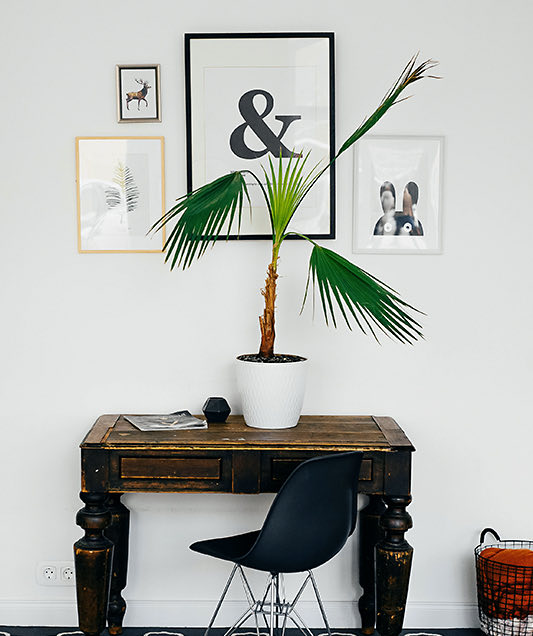 small desk facing a wall with plant on it and decorative art on wall