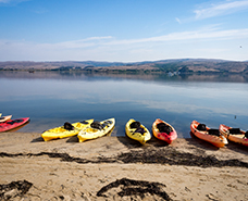 8 kayaks laying by the seaside