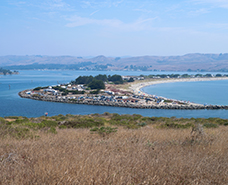 birds eye view of the bay area