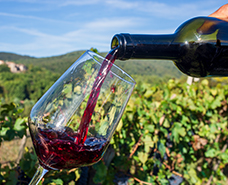 red wine being poured into a wine class in vineyard