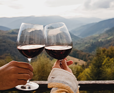 two people clinking red wine glasses
