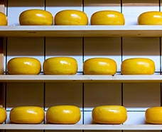 various rounds of cheeses