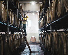 barrels of spirits aging