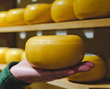large round of yellow cheese