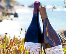 two wine bottles sitting in the grass