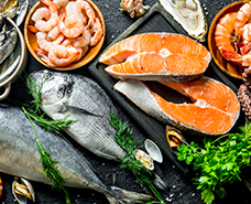 various fresh raw seafood