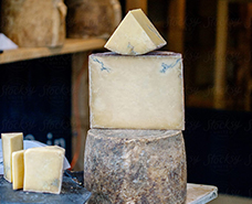 blocks of various aged cheeses