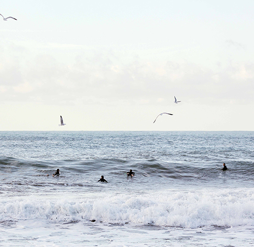 a lot of birds flying around the sea shore