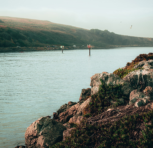 view of shallow water and mossy rocks