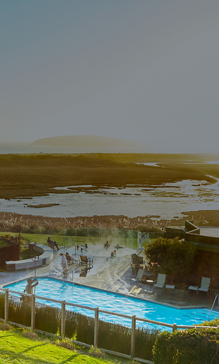 areal view of a pool and jacuzzi