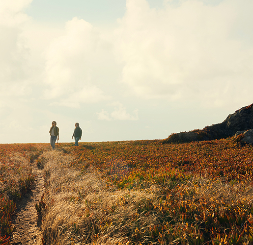 couple on a stroll through an open field