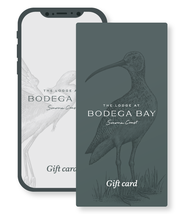 bodegabaylodge giftcards 01 01