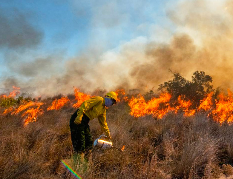 lssi conservationcenter landwildlife image