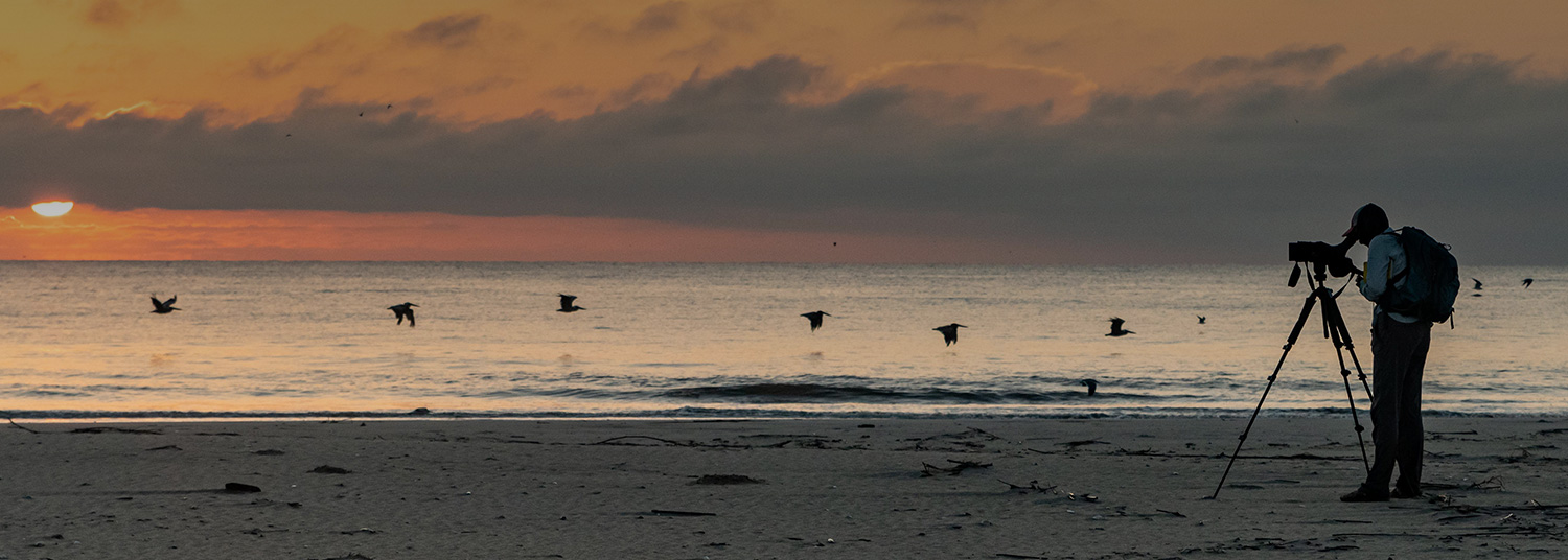 a person at the beach taking photos during the sun set