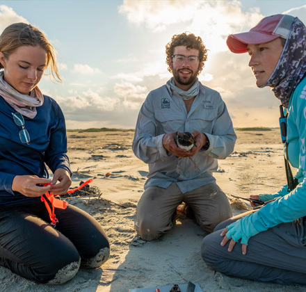 three people sitting on the sand holding a bird