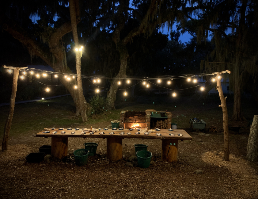 wood table with lights in the middle of trees at night