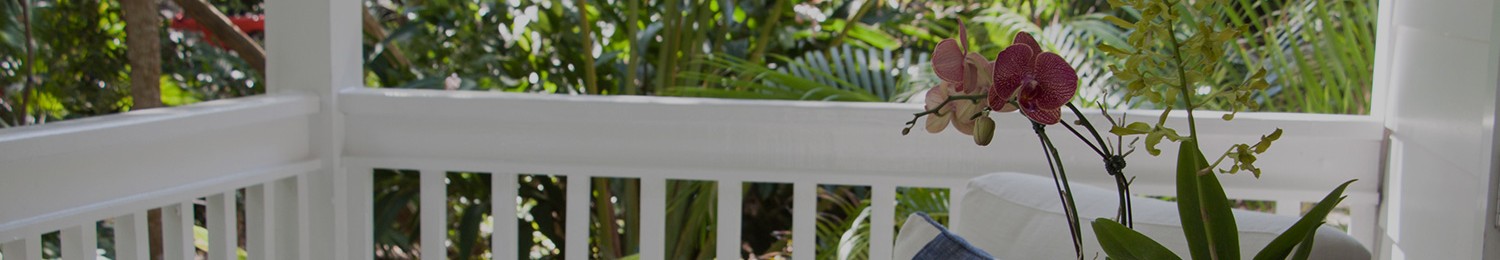 The Moorings Headers Privacy Policy
