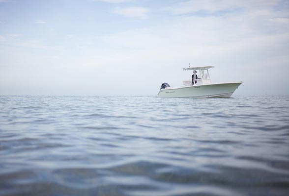 TheMoornings ExploreIslaMorada Fishing
