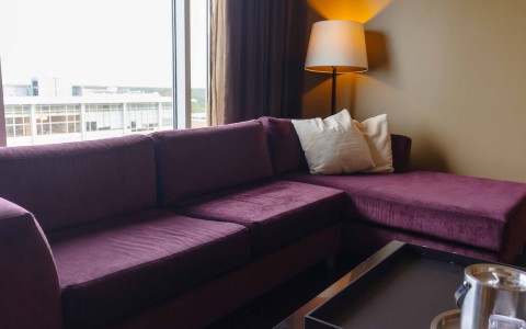 purple couch in front of a large window