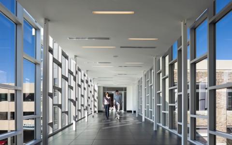 couple walking through a unique window-structured hallway within the hotel