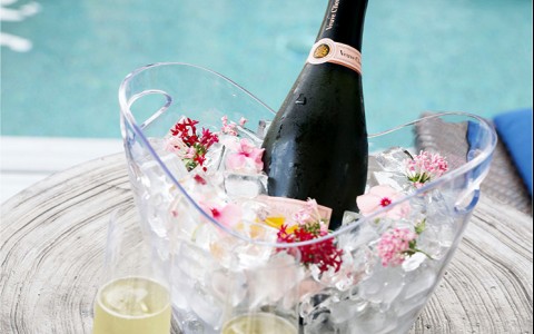 champagne bottle in a clear bucket of ice with two glasses filled up with champagne in front of the pool