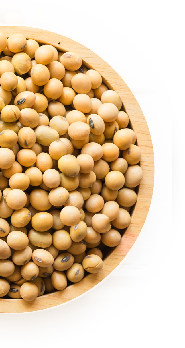 Restaurants In Houston TX The Moran CITYCENTRE