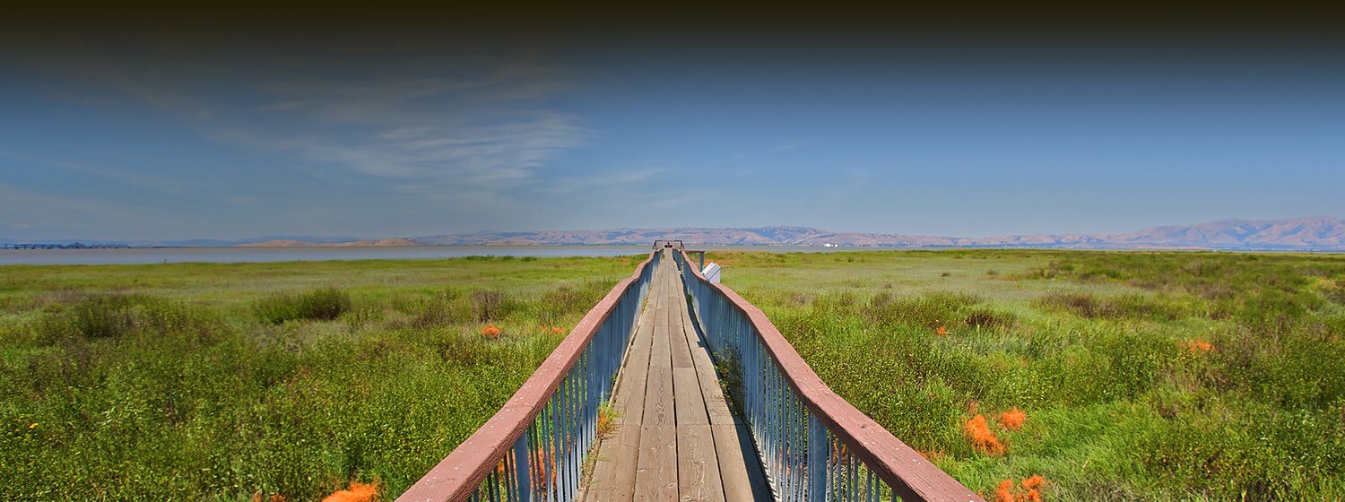 A long narrow wooden boardwalk surrounded by grass with a view of the water and mountains in the distance