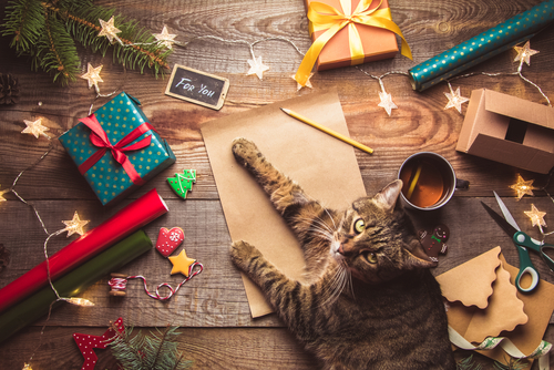 cat with christmas gifts