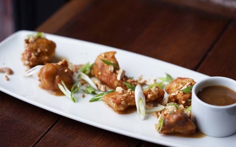appetizer on white long plate with dipping sauce
